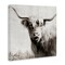 Stupell Industries Black & White Highland Cow Canvas Wall Art Design by Danita Delimont
